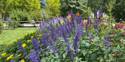 Best Parks in Arlington VA for Families